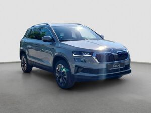 Skoda Karoq 2.0 TDI DSG Selection MATRIX AHK bild 7