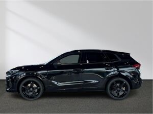 Cupra Terramar VZ 2.0 TSI DSG 4DRIVE ABT - SOFORT VERFÜGBAR! bild 5