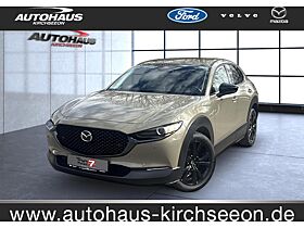 Mazda CX-30 2.5 e-SKYACTIV-G Nagisa 2WD Automatik Navi