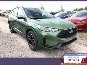 Ford Kuga FHEV AWD ST-Line ACC Kam360 TotW SHZ 19Z bild 2