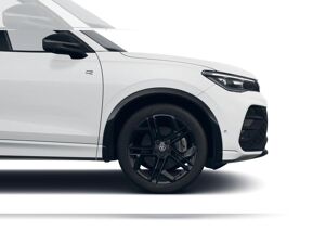 Volkswagen Tiguan R-Line "Black Style" 2.0 TDI DSG *AHK*Navi*HUD* !! sofort verfügbar !! bild 4