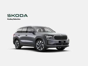 Skoda Kodiaq Selection bild 1