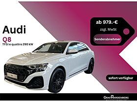 Audi Q8 TFSI e quattro 290 kW nur für Sonderabnehmer (Schwerbehinderte, Ärzte, Notare, Rechtsanwälte, Steuer