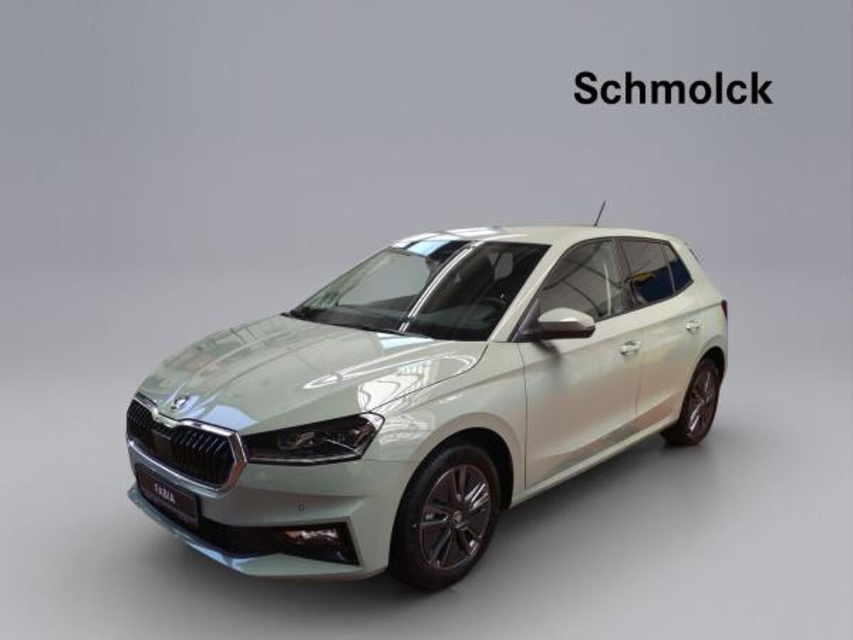 Skoda Fabia Balance 1.0 TSI DSG LED ACC PDC bild