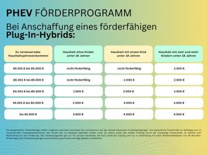 BYD DOLPHIN G 1.5 DM-i Boost Plug-In-Hybrid⚠️**4.000 Euro Förderung**⚠️ | Sitzheizung I Navi I LED I Leder I Len bild 6