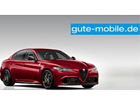 Alfa Romeo Giulia Quadrifolgio ORO 520PS | SONDERMODELL! Alfa Romeo Giulia Quadrifolgio ORO 520PS | SONDERMODELL!
