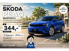 Skoda Peaq SELECTION 60😮‼️NAV ACC KAM WÄRMEP😮‼️