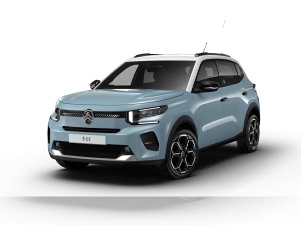 Citroën C3 Elektromotor 113 Standard-Range Team D bild