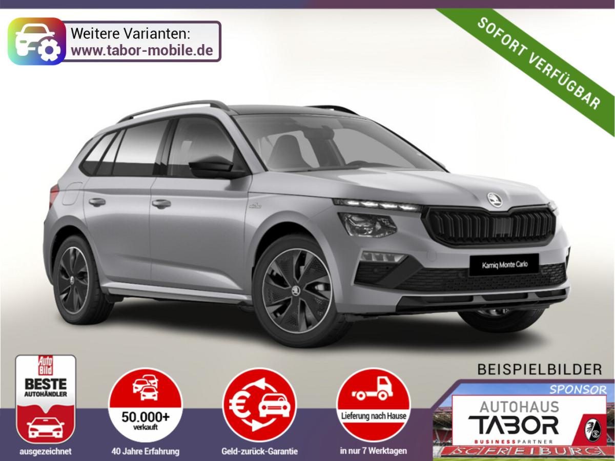 Skoda Kamiq DSG MonteC Pano Matrix ACC SideA Kam Kessy bild