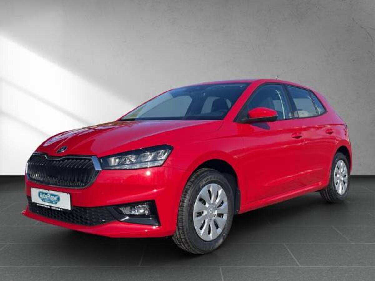 Skoda Fabia 1.0 TSI SELECTION **GEWERBE**SOFORT** l DAB l LED l SHZ l PDChi l KLIMA l bild