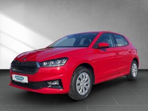 Skoda Fabia 1.0 TSI SELECTION **GEWERBE**SOFORT** l DAB l LED l SHZ l PDChi l KLIMA l bild 1