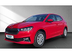 Skoda Fabia 1.0 TSI SELECTION **PRIVAT**SOFORT** l DAB l LED l SHZ l PDChi l KLIMA l