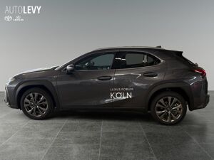 Lexus UX-300h UX 300h F Sport Design *inkl..Wechselprämie* bild 3