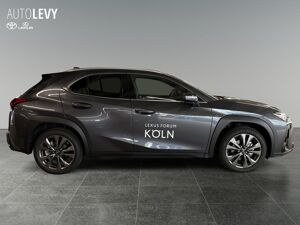 Lexus UX-300h UX 300h F Sport Design *inkl..Wechselprämie* bild 7