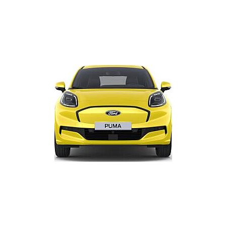 Ford Puma leasen