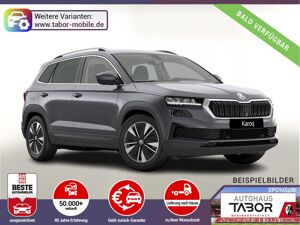 Skoda Karoq DSG Selec AHK ACC Kam SideA SHZv/h Kessy bild 1