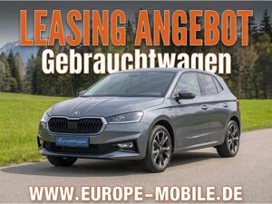 Skoda Fabia Style 1.0 TSI 110 Dynamic (Gebraucht) |NAV|KAM|VIRTU|VOLL-LED|17"|5J-GAR|UVM. (sofort verfügbar!) bild 1