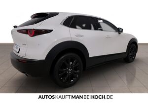Mazda CX-30 Privat MAZDA CX-30 2.5L 140 PS HOMURA //AUTOMATIK MODELL 2026 bild 6