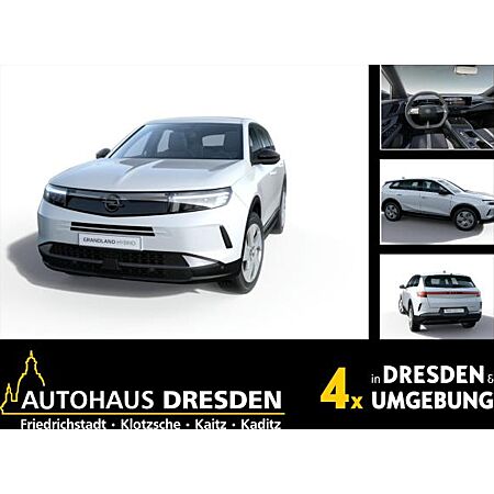 Opel Grandland X leasen