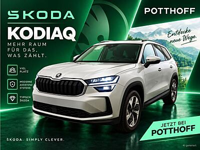 Skoda Kodiaq 2.0 TDI DSG 🔥  SELECTION🔥  4x4 AHK Navi MatrixLED