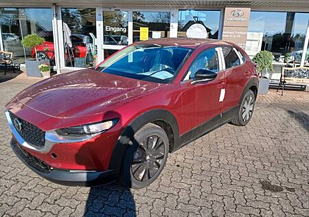 Mazda CX-30 E-SKYACTIV X M-HYBRID 186 EXCLUSIVE-L AT