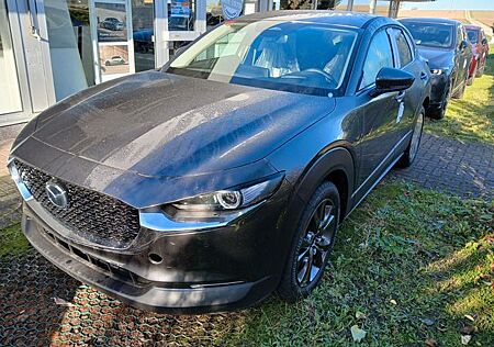 Mazda CX-30 E-SKYACTIV X M-HYBRID 186 EXCLUSIVE-L AT