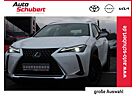 Lexus UX 250h Executive LED+SITZHZG.+KAMERA+TEMPOMAT+