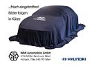 Hyundai Santa Fe 2.2 CRDi Premium, AHK, WKR, Standheizun