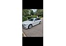 BMW 520d Touring - Autom. Panorama Dach