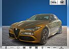 Alfa Romeo Giulia Quadrifoglio Assistenz Paket /19"Classico
