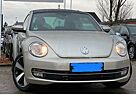 VW Beetle Volkswagen 1.2 TSI BMT Panoramadach CUP