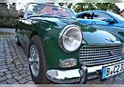 Austin Healey Andere