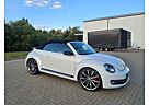 VW Beetle Volkswagen 2.0 TSI DSG BMT Exclusive Sport Cabri...