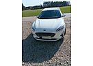 Ford Focus 2,0 EcoBlue 110kW Cool & Connect Turni...