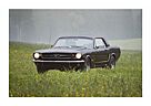 Ford Mustang D-Code V8 1964 1/2