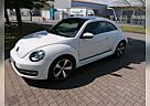 VW New Beetle Volkswagen Sondermodel Cup, Tdi, 105PS, Pano,