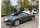 Ford Mustang GT 5,0 V8 Cabrio Jahreswagenzustand!