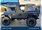 Jeep Wrangler |Corvette C4 LT1|Trailmaster|H-Zulass
