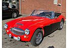 Austin Healey Andere