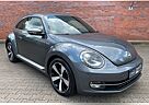 VW Beetle Volkswagen Design ( Steuerkette Neu )