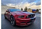 Ford Mustang 5.0 GT/Black Edition/Top Zustand