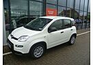 Fiat Panda 1.0 Mild-Hybrid-Klima-5"Radio mit USB&Blue