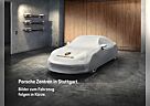 Porsche Cayenne E-Hybrid Coupe Platinum Edit PASM