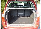 Renault Scenic II Exception 2009