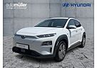 Hyundai Kona PREMIUM FLASH TEST REPORT*LED*LEDER*NAVI