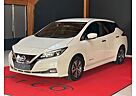 Nissan Leaf Zero Emission