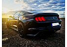 Ford Mustang Shelby GT 350 Unfallfrei