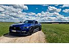 Ford Mustang 5.0 V8 GT Performance Paket