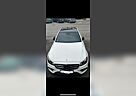 Mercedes-Benz E 350 E 350d AMG Standheizung, Panorama, Widescreen