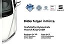 VW T-Roc Volkswagen Cabriolet 1.5 TSI OPF DSG R-Line +AHK